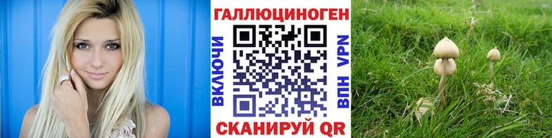 Галлюциногенные грибы Psilocybe  Медвежьегорск 